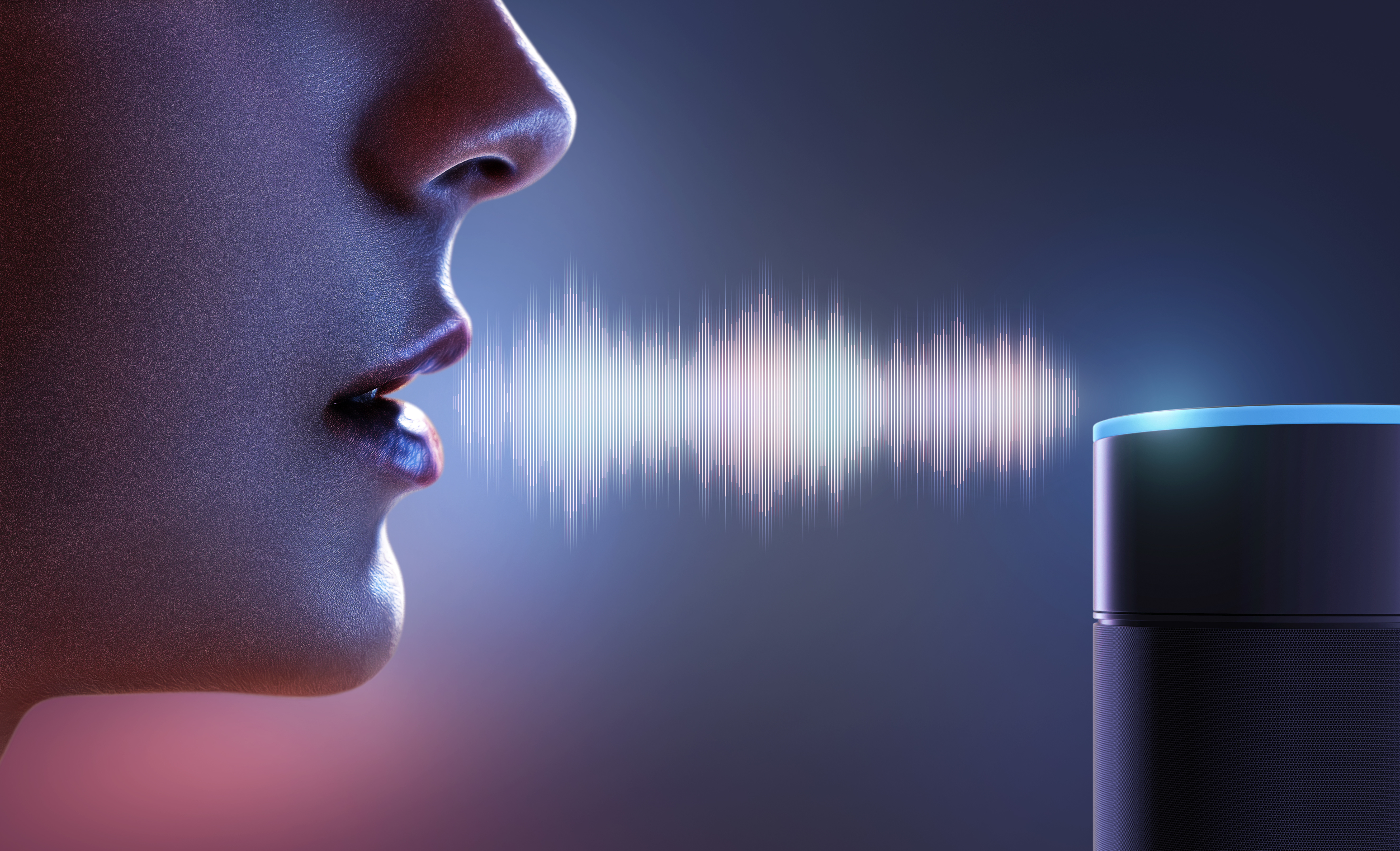 Best voice store assistant for home