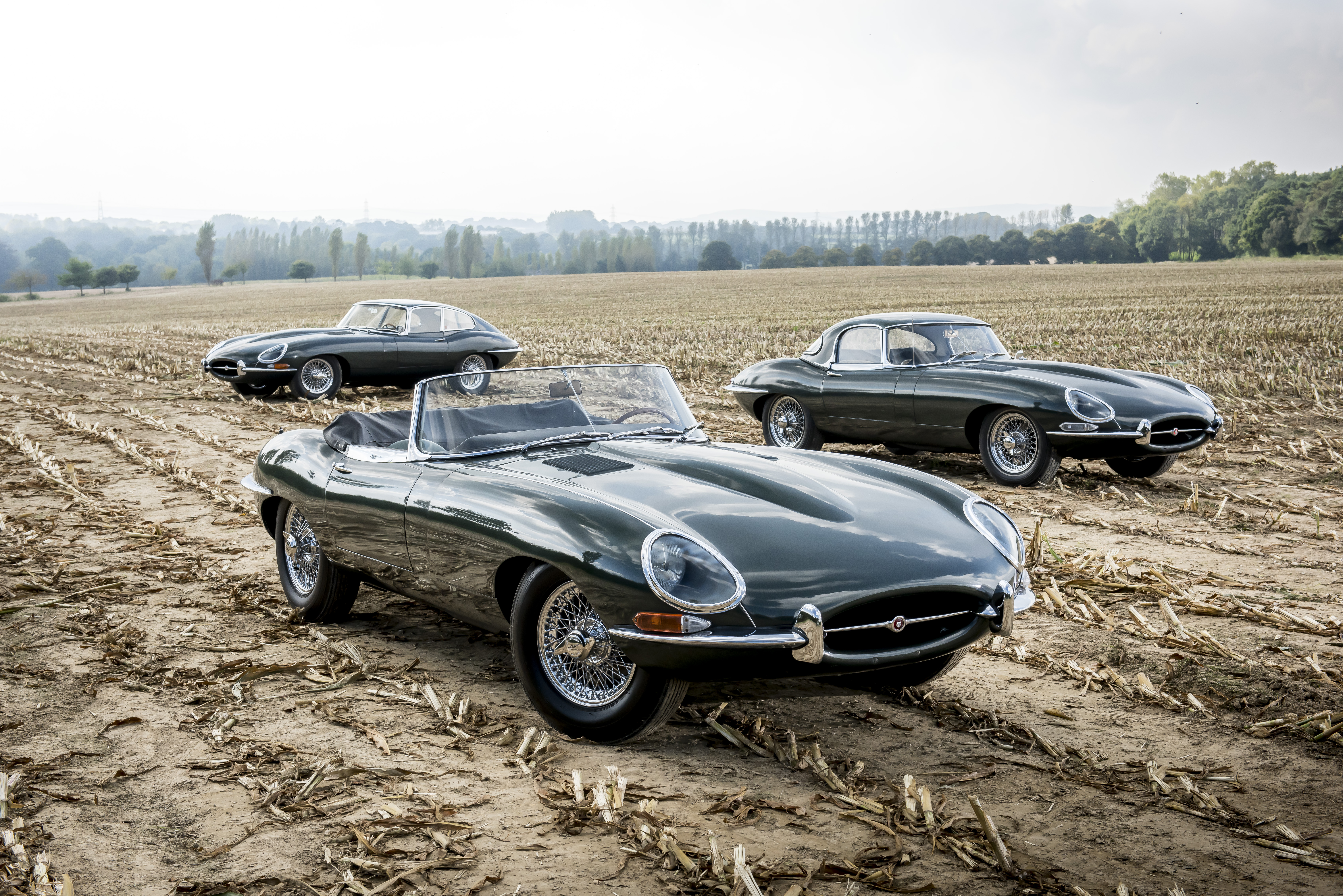 Jaguar E-Type Competition Coupé