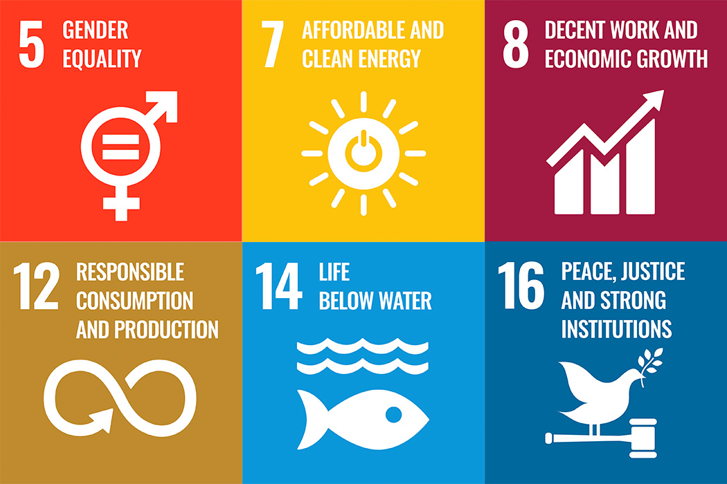 UN Sustainable Development Goals